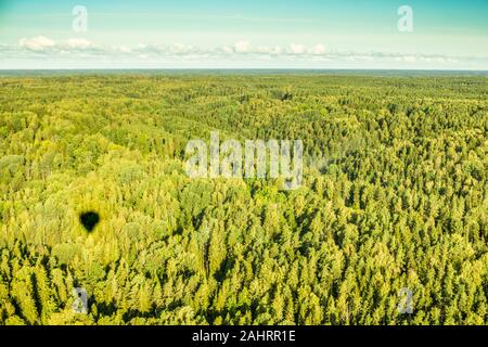 Kleine Schatten von Hot Air Balloon im Abstand über Pinienwald Stockfoto