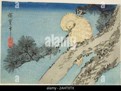 Utagawa Hiroshige. Eule auf pine Zweig. 1830 - 1839. Japan. Farbe holzschnitt; yotsugiriban Stockfoto