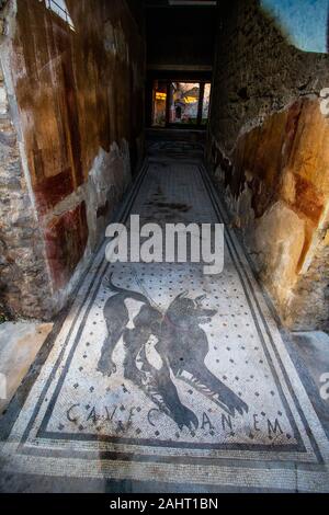 CAVE CANEM - Hüten Sie sich vor dem Hund Bodenmosaik im Vorraum des Hauses des tragischen Dichters in Pompeji, Italien Stockfoto