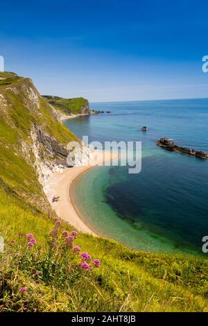 Eines der verlassenen und einsamen Stränden unter Klippe wilden Blumen in Man O'War Bay auf in Dorset Jurassic Heritage Coast, England, Großbritannien Stockfoto