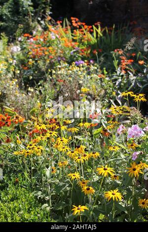 Rudbeckias und Englisch Sommer Garten Blumen Grenze Stockfoto