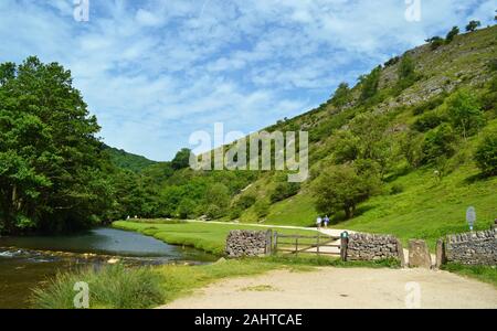 Dovedale, Peak District, Derbyshire, England, Großbritannien Stockfoto