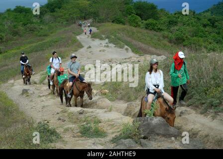 Pferde tragen koreanischen Touristen bis auf den Gipfel des Vulkan Taal, Talisay, Batangas Province, Philippinen. Stockfoto