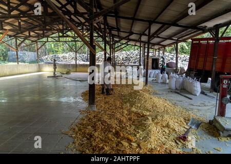 Gereinigtes Schwefel ist gestapelt warten in Säcke geladen werden und transportiert werden, vom Schwefel Werk tief im Dschungel in der Nähe von Banyuwangi, Ost Java, Indonesien. 10/12/19. Stockfoto