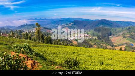 Panoramablick auf Kaffee Immobilien und Nilgiri Hills. Auf dem Weg Ootty Tamil Nadu, Indien. Stockfoto