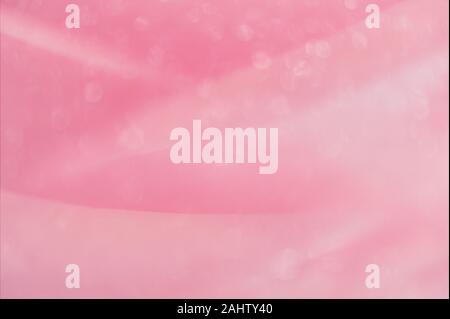 Makro Foto von rosa Rosenblüten mit attraktiven Licht bokeh und weichen, natürlichen Linien, eine hübsche, temperamentvolle, girly Suchen einen Hintergrund. Stockfoto