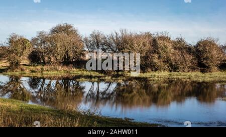 Landschaft am Fluss Frome im East Stoke, etwas außerhalb des Dorfes Wolle, in Dorset, England Stockfoto