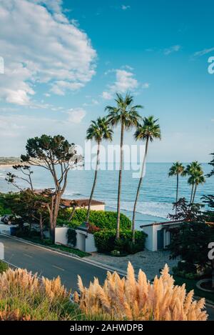 Palmen und Häuser am Strand in Malibu, Kalifornien Stockfoto