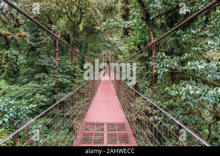 Hängebrücke im Vordach, Monteverde Cloud Forest Reserve, Costa Rica Stockfoto