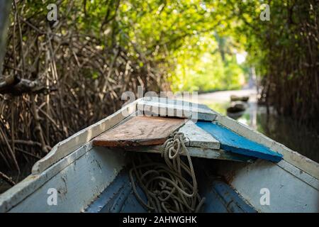 Gambia Mangroven. Traditionelle lange Boot. Green mangrove Bäume im Wald. Gambia. Stockfoto