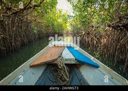 Gambia Mangroven. Traditionelle lange Boot. Green mangrove Bäume im Wald. Gambia. Stockfoto