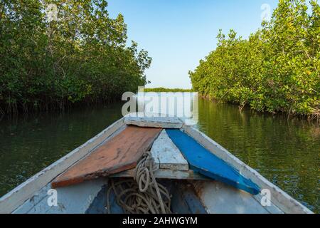 Gambia Mangroven. Traditionelle lange Boot. Green mangrove Bäume im Wald. Gambia. Stockfoto