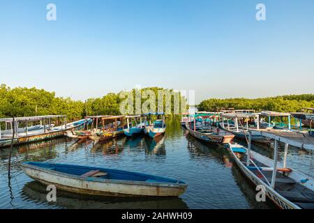 Gambia Mangroven. Lamin Lodge. Traditionelle lange Boote. Green mangrove Bäume im Wald. Gambia. Stockfoto