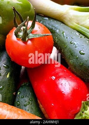 Überblick über verschiedene Gemüse mit Wassertropfen auf eine Küche, mediterrane Küche, Spanien angeordnet Stockfoto