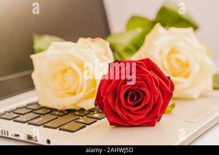 Blumenstrauß aus frische weiße und rote Rosen auf der Tastatur des Laptops auf leicht rosa unterlegt, Valentine, Konzept. Ein bisschen Romantik im Alltag. Horizont Stockfoto