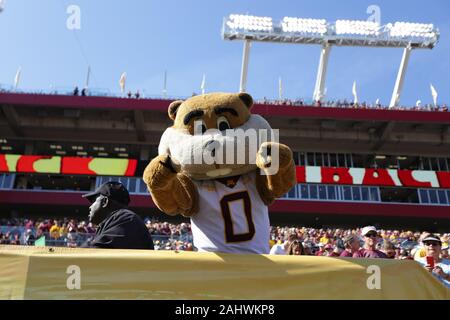 Tampa, Florida, USA. 1 Jan, 2020. Goldy Gopher in der steht vor dem Outback Bowl NCAA Football Spiel zwischen den Minnesota Gopher und die Auburn Tiger bei Raymond James Stadium in Tampa, Florida statt. Andrew J. Kramer/Cal Sport Media/Alamy leben Nachrichten Stockfoto