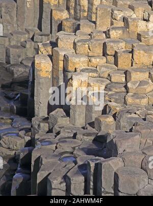 Massive Basaltsäulen und Stepping Stones Giant's Causeway, County Antrim, Nordirland, Großbritannien. Stockfoto