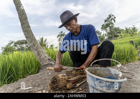 Banyuwangi, Indonesien. 10 Dez, 2019. Ein Landwirt schärft sein Werkzeug neben einem Reisfeld in Banyuwangi, Ost Java. Credit: Edward Crawford/SOPA Images/ZUMA Draht/Alamy leben Nachrichten Stockfoto