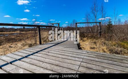 Rundwanderweg mit einem Holzsteg in das Hohe Venn. Stockfoto