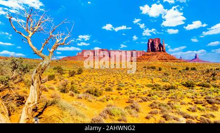 Die hoch aufragenden roten Sandstein Bildung von Sentinel Mesa und West Mitten Butte und einen toten Baum im Monument Valley Navajo Tribal Park Landschaft der Wüste Stockfoto