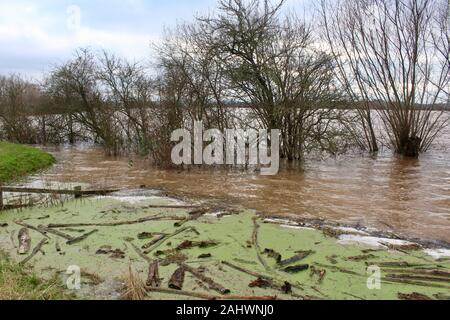 Überflutete Straßen und Felder auf der Somerset Levels in der Nähe von Taunton aufgrund der hohen Niederschlägen und Wasserständen Stockfoto