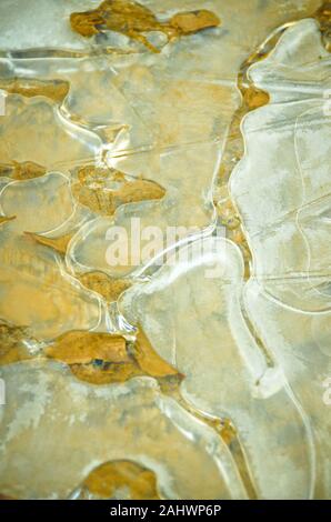 Gefrorenes Wasser in einer Pfütze im kalten Winter. Schöne Formen von gefrorenen Blasen Stockfoto