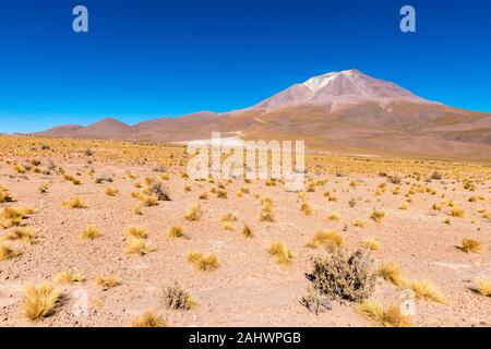 Mirador Vulkan Ollagüe oder View Point Vulkan Ollagüe, Avaroa, Anden, Bolivien, Latein Amreica Stockfoto