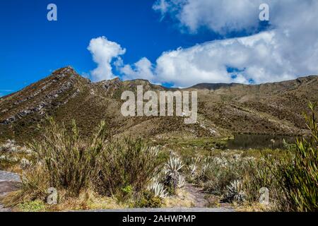 Die schöne Landschaft der kolumbianischen Anden zeigen Typ Paramo Vegetation im Departement Cundinamarca Stockfoto