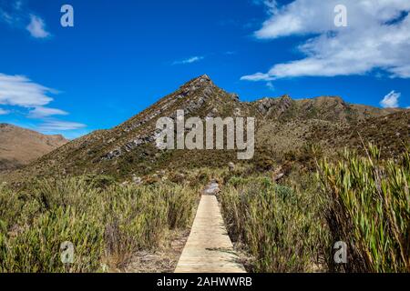 Die schöne Landschaft der kolumbianischen Anden zeigen Typ Paramo Vegetation im Departement Cundinamarca Stockfoto