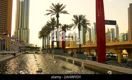 Babassuöl Palmen in den Straßen von Dubai. Stockfoto