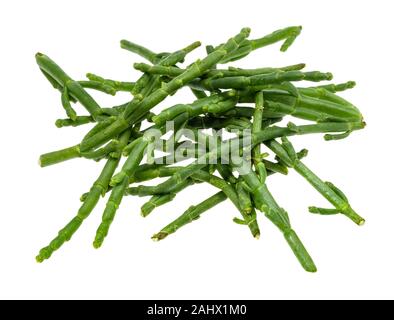 Haufen frischen Zweigen der Queller (salicornia) Pflanze Ausschnitt auf weißem Hintergrund Stockfoto