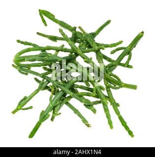 Viele frische Zweige der Queller (salicornia) Pflanze Ausschnitt auf weißem Hintergrund Stockfoto