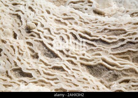 Salzformationen, bei denen Süßwasser in das Tote Meer fließt, werden bei sinkenden Wasserständen ausgesetzt. Das Meer hat die niedrigste Erhebung der Erde. Stockfoto