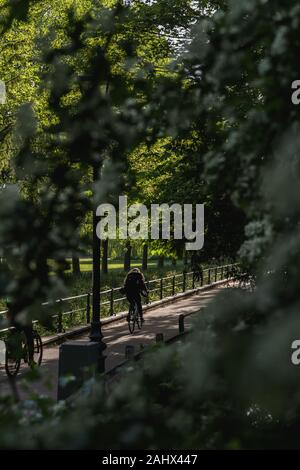 Figur, die an einem sonnigen Frühlingmorgen, der von Bäumen umgeben ist, eine grüne Straße in Cambridge England hinunter geht. Stockfoto