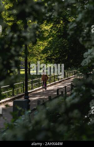 Figur, die an einem sonnigen Frühlingmorgen, der von Bäumen umgeben ist, eine grüne Straße in Cambridge England hinunter geht. Stockfoto
