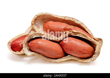 Große geschälte Erdnüsse close-up der Bohnen in der Shell auf weißem Hintergrund. Ungeschälte Erdnüsse in der Schale. Erdnüsse, für Hintergrund oder Textur. Stockfoto