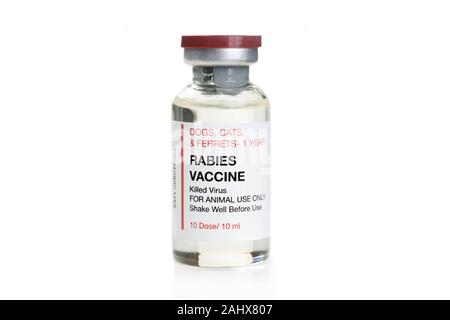 Tollwut Impfstoff Durchstechflasche auf weißem Hintergrund. Stockfoto