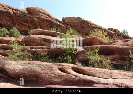 Eine riesige rote Felsen mit Bäumen wächst durch den Felsen auf der Trading Post Trail im Red Rock State Park, Colorado, USA Stockfoto