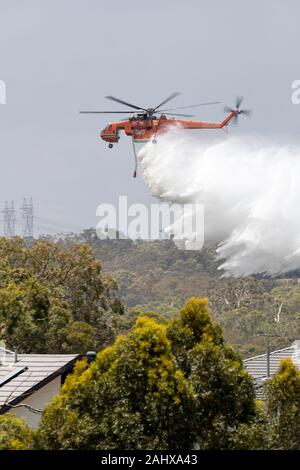 Erickson Air Crane Helikopter (Sikorsky S-64) N 243 AC fällt eine große Last von Wasser auf ein buschfeuer zur Unterstützung der Brandbekämpfung durch die Besatzungen auf. Stockfoto