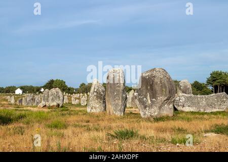 Alignements du Menec - Steine - die größte Megalithen in der Welt, Carnac, Bretagne, Frankreich Stockfoto