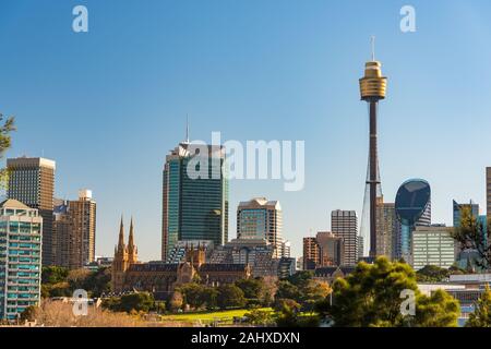 Panoramablick auf Sydney CBD, Central Business District Skyline mit Sydney Tower und die St. Mary Kathedrale. Sydney, Australien Stockfoto