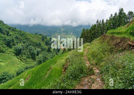 Wanderweg mit Blick von oben auf die Landschaft Berg Tal mit Reisterrassen und Felder an einem sonnigen Tag Stockfoto