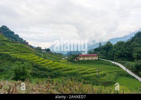 Vietnamesische Landschaft Landschaft mit Reisfeld. SaPa, Vietnam Stockfoto