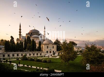 Möwen fliegen um Süleymaniye Moschee, Süleymaniye Camii, auf einem Hügel im Stadtteil Fatih Stockfoto