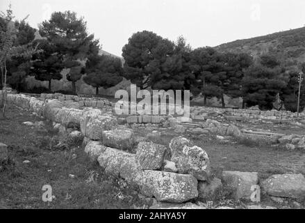 Touristentour durch die Ruinen des alten antiken Olympia, Griechenland 1950er. Touristische Führung durch die Ruinen des antiken Olympia, Griechenland 1950. Stockfoto