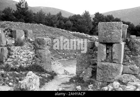 Touristentour durch die Ruinen des alten antiken Olympia, Griechenland 1950er. Touristische Führung durch die Ruinen des antiken Olympia, Griechenland 1950. Stockfoto