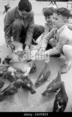 Kinder beim Füttern Tauben auf dem Markusplatz in Venedig, Italien 1954. Kinder füttern Tauben auf dem Markusplatz in Venedig, Italien 1954. Stockfoto