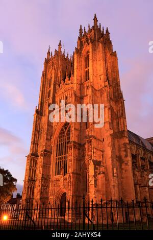 Beverley Minster bei Nacht, Beverley town, East Riding von Yorkshire, England, Großbritannien Stockfoto