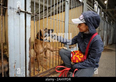 Mädchen, Freiwilliger, petting streunender Hund sitzen hinter Gittern in den Käfig, Hund die Pfote auf ihr Knie. Oktober 4, 2019. Borodyanka, Ukraine Stockfoto