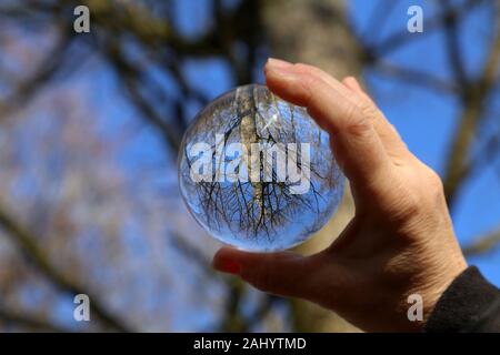 Bäume und der blaue Himmel durch ein transparentes Glas Kugel Stockfoto